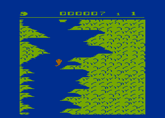 Salmon Run