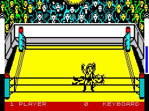 Rock'n Wrestle