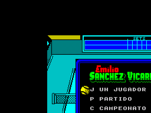 Emilio Sanchez Vicario Grand Slam