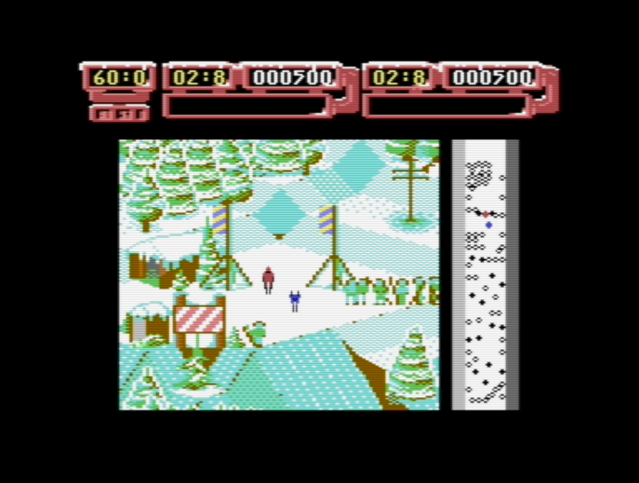 Professional Ski Simulator