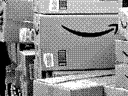 The amazon disaster - Caricamento
