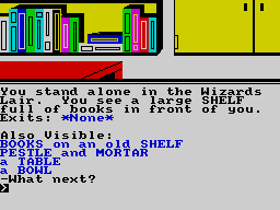 Wizard, What Wizard - In-game