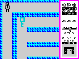 Cuboid Captor - In-game