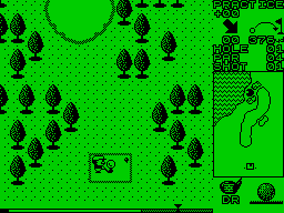 ZXGolf USA - In-game