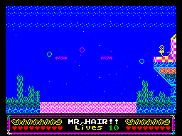 Mr Hairs A Very Hairy RemiX - In-game